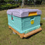 Hot Sale Thermo Insulated Beehive HDPE One-Layer Langstroth Plastic Bee Hive for Beekeeper