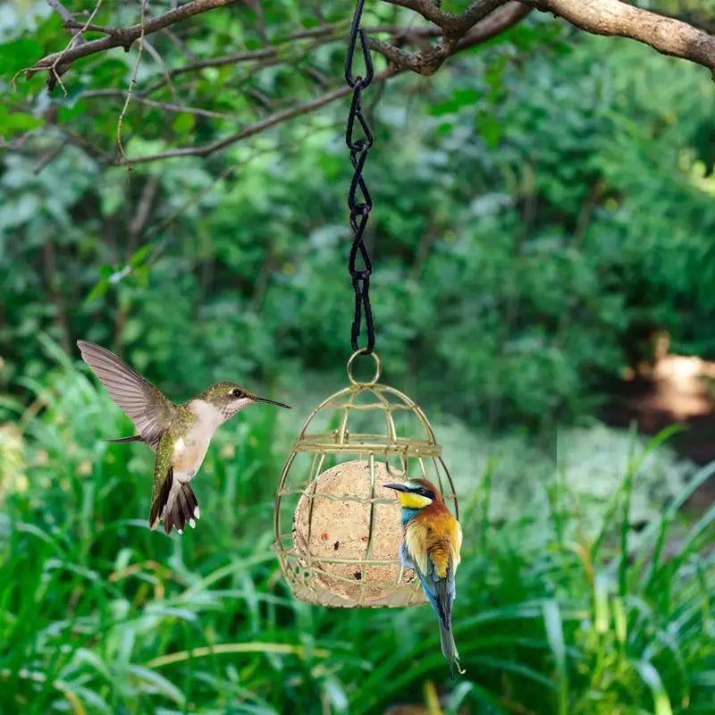 Hanging Bird Feeder Metal Hanging Bird Cage Bird Feeder Squirrel Proof Wild Bird Feeders For Outside Garden Patio Lawn Window