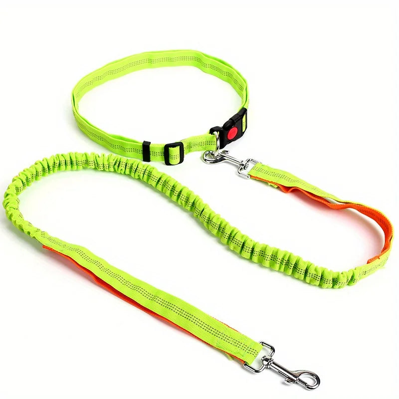 Dog Leash Supplies Free Hands Classic Harness Collar Big Pet Accessories Small Set Dogs Large Suit