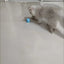 Cat Interactive Ball Smart Pet Cat Toys Indoor Automatic Rolling Magic Ball Electronic Interactive Cat Toy Cat Game Accessories
