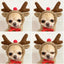 Funny Pet Dog Cat Halloween Costume Dog Costumes for Small Dogs Cosplay Elk Transformed Winter Warm Dog Clothes