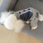 Dog Clothes for Small Dogs Chihuahua Winter Clothing Puppy Pet Coat Puppy Outfit Chihuahua Pug Cotton Clothes Dog Suit Costume