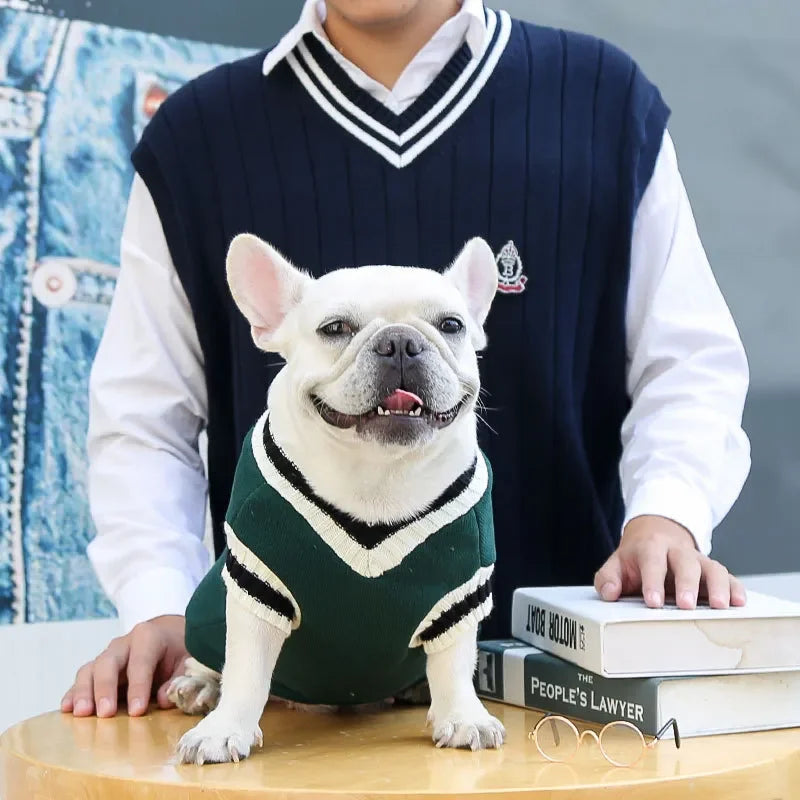 Pet College Style Sweater College Style V-neck Teddy knitted Vest Sweater Winter Warm Chihuahua French Bulldog Yorkie Coat