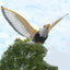 Flying Hawk Bird Repellent Hanging Eagle Flying Owl Repellent Scarer Decoy Repellent Pest Control Scarecrow Garden Decoration