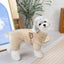 Pet Clothes Dog Hoodies Pets Accessories for Dogs Corgi Cute Small Luxury Products Costume Large Acessorios Winter Medium Soft