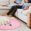 2 in 1 Self Rotating Ball Cat Toy Smart Interactive Cat Toy USB Rechargeable Wicked Ball 360 Degree Automatic Cat Moving Rolling