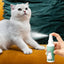 Spray Catnip Natural Maximum Potency Cat Nip Bundle High Potency Catnip 50ml Safe Non-Addictive Catnip Feline And Cat Lover