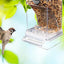 Bird Feeders Parakeet Feeders For Bird Cage Automatic Parrot Feeder Drinker Clear Acrylic Splash-Proof Bird Feeder