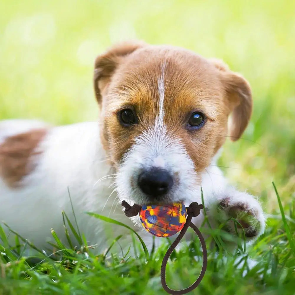 Dog Training Ball On Rope Pet Playing Balls Toys Outdoor Playing Keep Teeth Healthy And Boost Physical And Mental Health For Dog