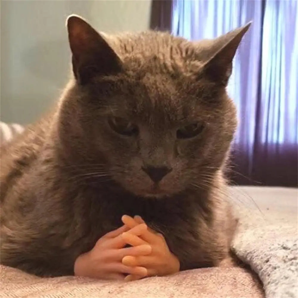 Mini Hands For Cats Paws Mini Finger Puppets Fake Small Finger Hand Puppet Fake Hand Toy Silicone Dog Funny Finger Puppets