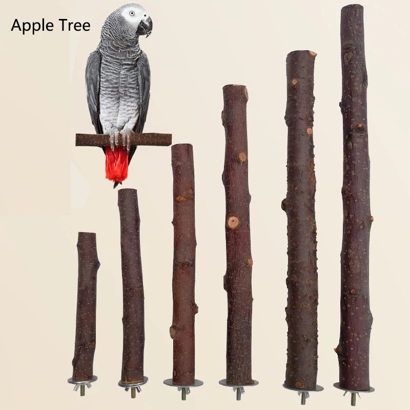 Natural Wood Pet Parrot Raw Wood Fork Tree Branch Stand Rack Squirrel Bird Hamster Branch Perches Chew Bite Toys Stick 1Pcs