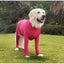 Dog Onesie Clothes Shedding of Dog Hair for Home Car Travel Anxiety Calming Shirt Surgery Recovery Body Jumpsuit for Large Dogs
