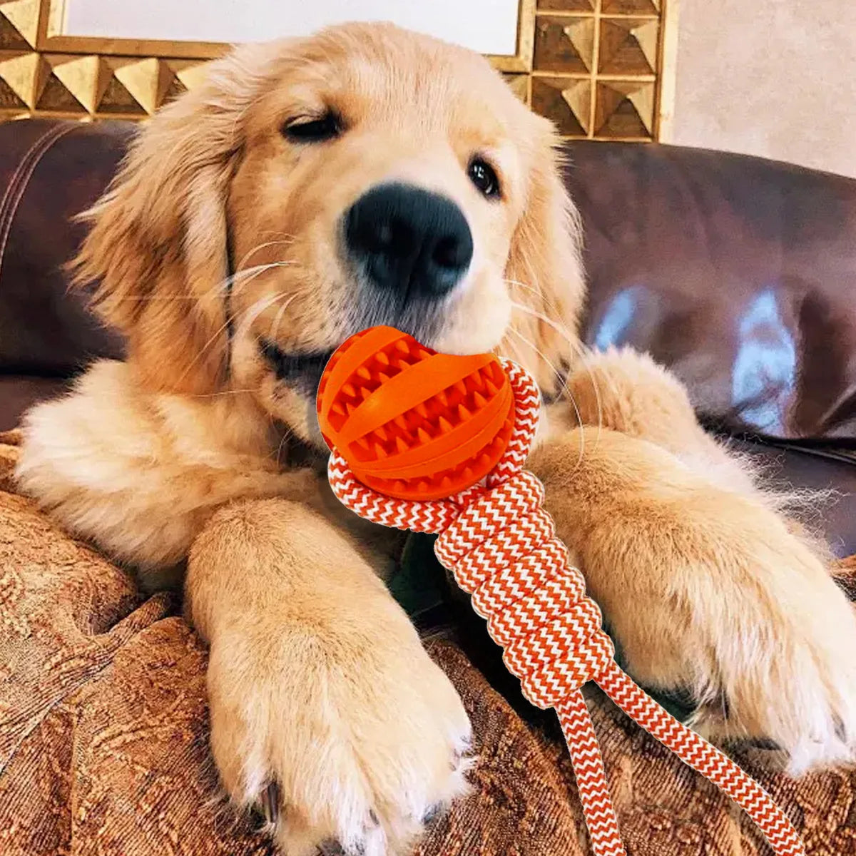 Durable Dog Rope Toys Ball on Rope, Tug of War Dog Toy Interactive Exercise Reward Toy for Medium Small Dogs,Rubber Dog Chew Toy