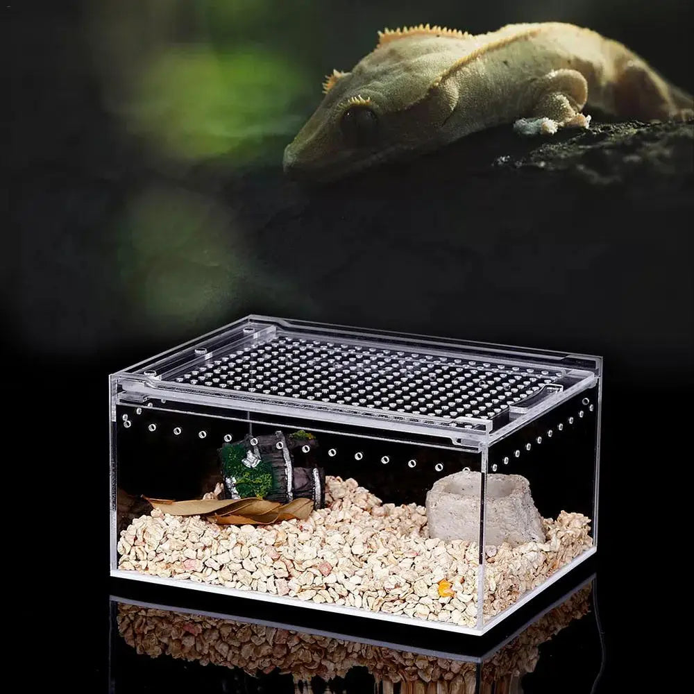 Reptile Pet Breeding Box Transparent Animal Habitat Cage With Breathable Holes Water Leakproof Box For Spider Snake Lizard