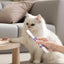 Pet Oral Repair Gel For Dogs Dog Oral Care 2X Care Cleaner Repair Gel Repair Gel Without Brushing For Eliminate Bad Breath
