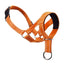 Mouth Leashes for Dogs Padded Adjustable Dog Head Harness Leader Leashes for Dog over Mouth Training Leashes Dog Head Collar