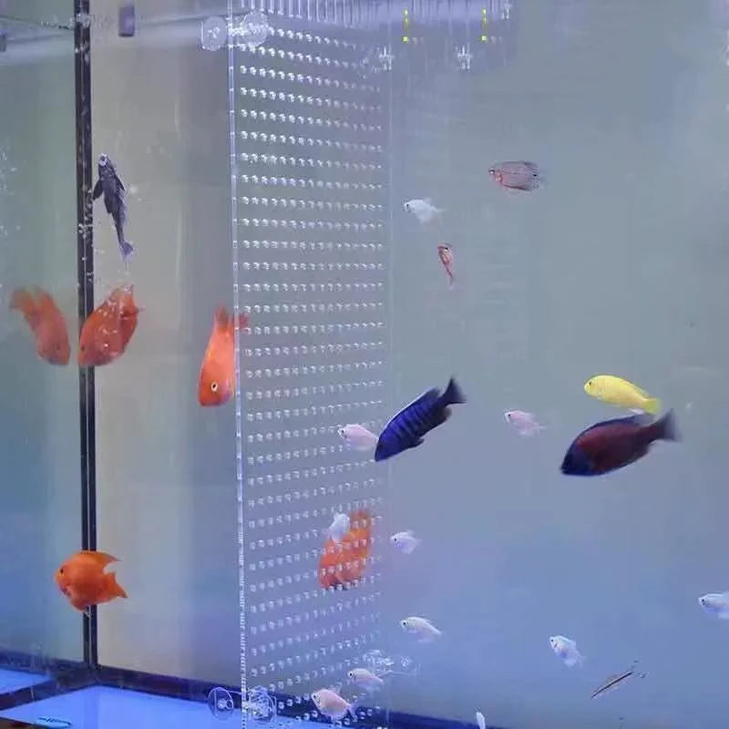 Transparent Acrylic Fish Tank Isolation Board Aquarium Grid Separation Separator Portable Water Supply Acrylic Divider Terrarium