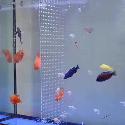 Transparent Acrylic Fish Tank Isolation Board Aquarium Grid Separation Separator Portable Water Supply Acrylic Divider Terrarium