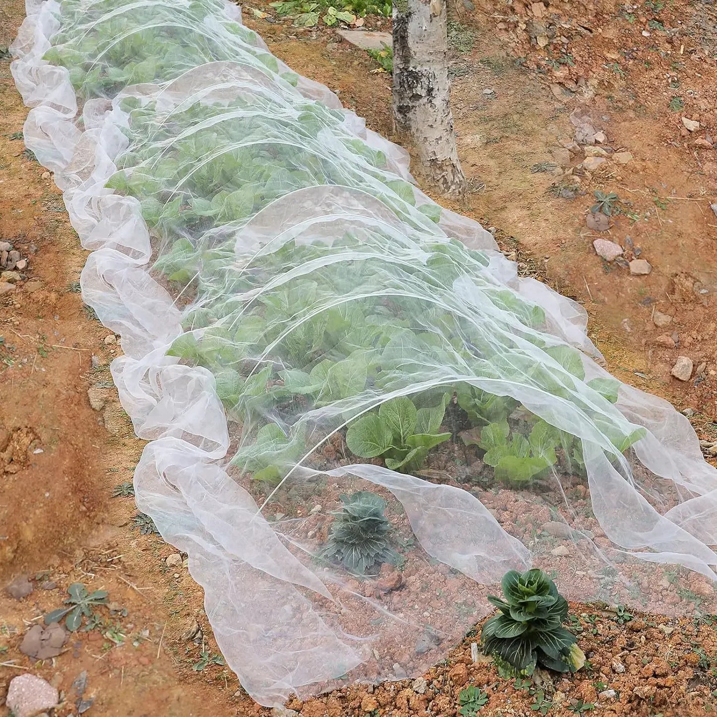 Garden Plant Insect Netting Vegetable, Flower and Fruit Care Cover Netting Pest Control Bird-proof 60 Mesh Protective Netting