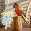Parakeet Toys Parrot Cage Bite Toys For Cockatoos African Grey Macaws Love Birds Fun And Durable Bird Puzzle Toys For Bird