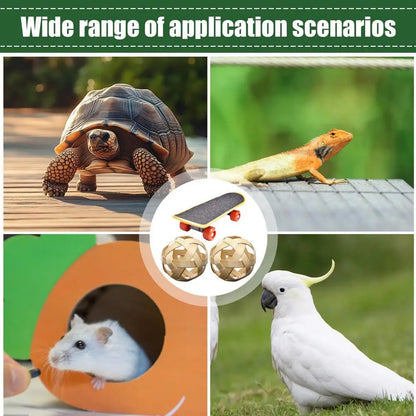 Turtle Feeding Ball Fruit Vegetable Holder with Training Skateboard 2 Treat Balls Turtle Enrichment Toys for Tortoise Turtle