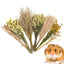 Flower And Plant Bedding Hamster Deodorizing Bedding Golden Bear Nest Landscaping Supplies Dried Flowers