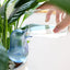 High quality automatic flower waterer plant waterer self watering water balloon bird shaped hand blown plastic water balloon