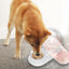 Cat Dog Water Dispenser Cat Feeder Water Bowl Container Automatic Snail Shape Drinking Fountain Cat Feeder Water Bowl Feeder