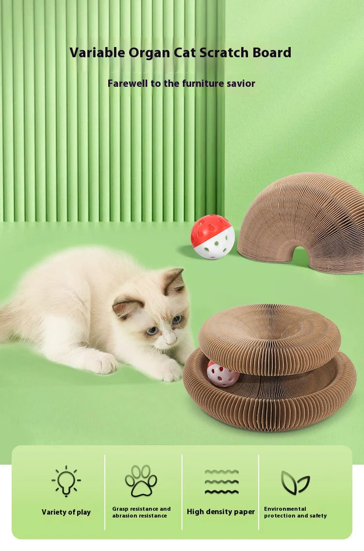 Popular Magic Organ Cat Scratch Board Cat Toy with Bell Cat Scratch Claw Cat Crawler Pet Supplies