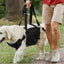 Dog Harness Medium Sized Dog Easy Walking Pull Dog Harness Dog Vest Harness with Control Handle No Choke Pet Neck Harness