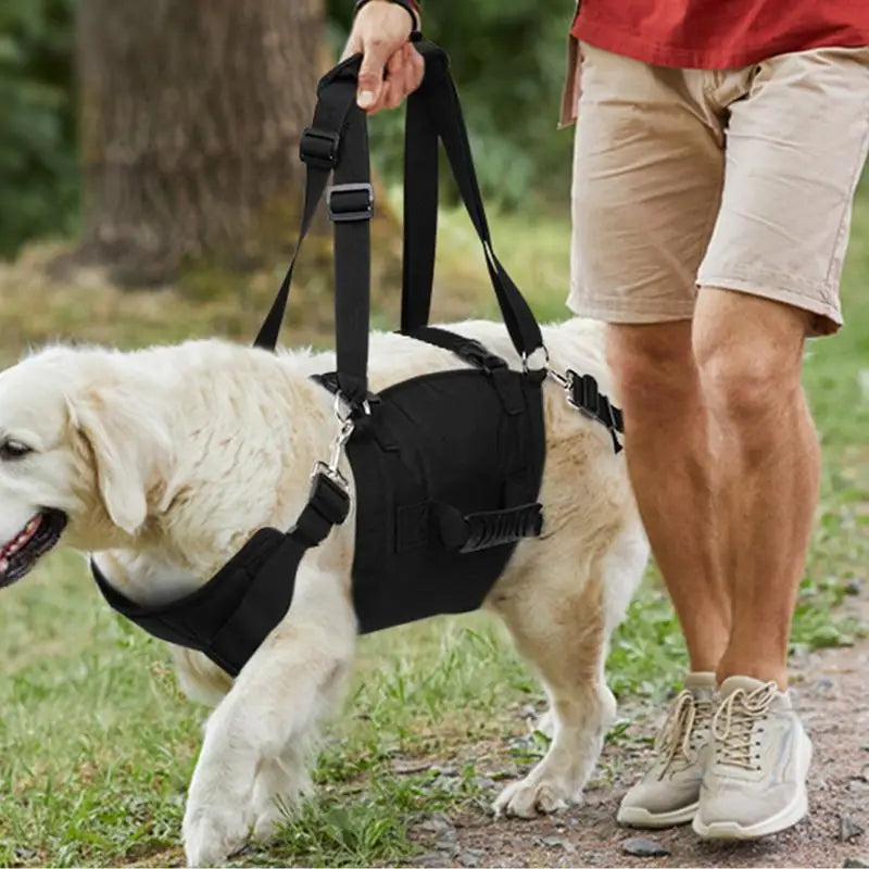 Dog Harness Medium Sized Dog Easy Walking Pull Dog Harness Dog Vest Harness with Control Handle No Choke Pet Neck Harness