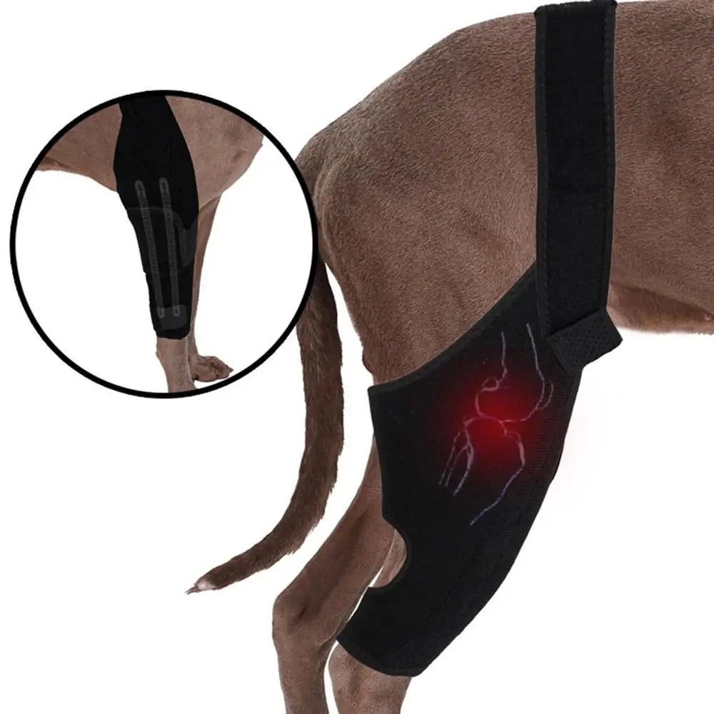 Dog Knee Brace Large Dog Rear Leg Support Breathable Back Leg Support With Metal Strip High Elasticity Leg Protector Senior Dogs