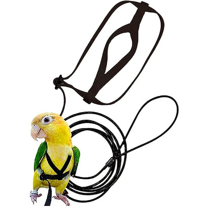 Training Flying Traction Rope Anti-Bite Training Rope Bird Parrot Flying Rope Parrot Harness Bird Harness Leash