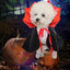 Pet Halloween Pet Costume Cape Hat Cat Dog Transformation Costume Christmas Dress Up Creative Holiday Atmosphere Decoration