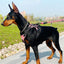 Doberman Dog Harness Collar Leash Set Walking Pet Vest Harnesses for Medium Large Dogs German Shepherd mascotas Chain Supplies