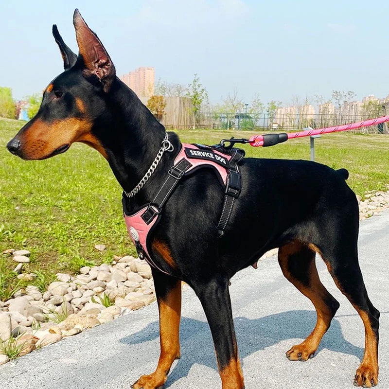 Doberman Dog Harness Collar Leash Set Walking Pet Vest Harnesses for Medium Large Dogs German Shepherd mascotas Chain Supplies
