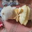Big Bow Pet Wedding Dress with Buckle Luxury Dog Full Dresses for Small Dogs Pomeranian Poodle Puppy Cat Skirt mascotas Clothes