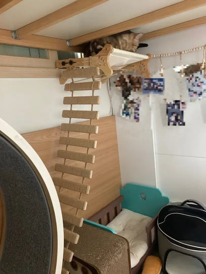 Solid Wood Wall Mounted Cat Tree Wooden Shelves Segment Ladders with Hammock and Cat House Cat Bridge for Kittens Perch Sleeping