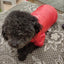 Puppy Pet Dog Clothes Outdoor Windproof Waterproof Leather Dog Coat Winter Warm Padded Jacket for Dogs and Cats in Cold Weather