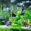 Aquarium Plant Weights Ceramic Water Plant Weights Pot Anti-Floating Aquarium Decoration Fish Tank Landscape Decoration