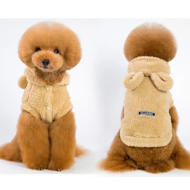 Clothes For Cat Sphinx Jacket Cat Clothes Egyptian Kitten Clothing Dog Hoodie Yorkshire Sweater Puppy Pet Chihuahua Hairless Xs