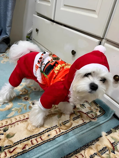 Christmas Dog Coat Sweater Chihuahua Pet Clothes New Year Pets Dogs Clothing For Small Medium Dogs Costume Warm Dog Hoodies