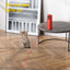 Laser Cat Teasing Device Teasing Pet Toys Infrared Intelligence Good-Looking Relieve Boredom Dog Toy Projection Capture Device