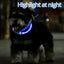 LED Dog Collar Light Up Dog Collars USB Rechargeable TPU Glow Safety Basic Dog Collars for Large Medium Small
