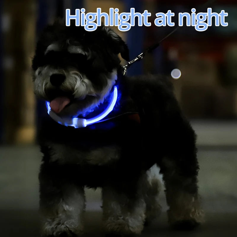 LED Dog Collar Light Up Dog Collars USB Rechargeable TPU Glow Safety Basic Dog Collars for Large Medium Small