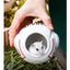 Honey squirrel ceramic food bowl hamster kettle drink device creative astronaut golden bear dodge nest prevent tipping bathtub