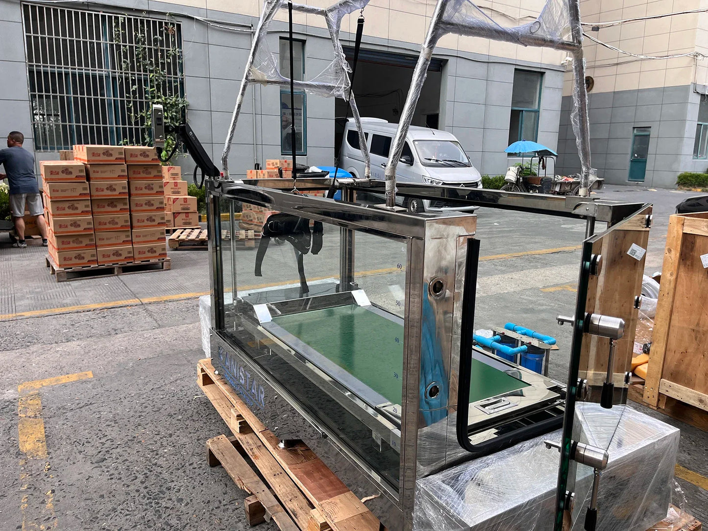 Dogs Hydrotherapy Pet Training Rehabilitation Underwater Treadmill High Quality Dog Training Equipment Water Treadmill