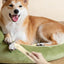 Rechargeable Dog Paw Trimmer Dog Paw Grooming Low Noise Cordless Dog Grooming Kit 2 Speed Pet Hair Shaver For Paws Beauty Tool