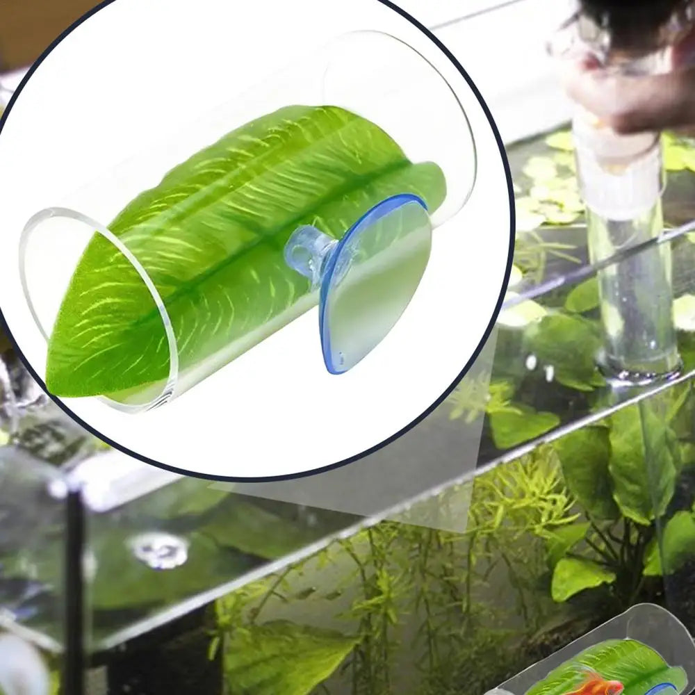 Betta Acrylic Tube Betta Fish Resting Tube Safe Enrichment Acrylic Tube Multifunctional Betta Tunnel Swim Tube Smooth