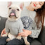 Dog Costume  Pet Clothes Crew Neck Korean Version Spring and Autumn Parent-child Wear Pure Cotton Four Colors Seven Sizes